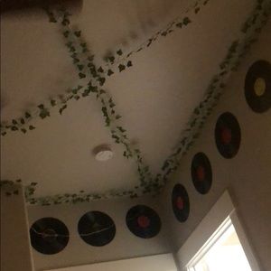 Meet your Posher, Whitney